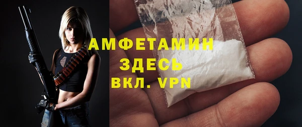 хмурый Алексин