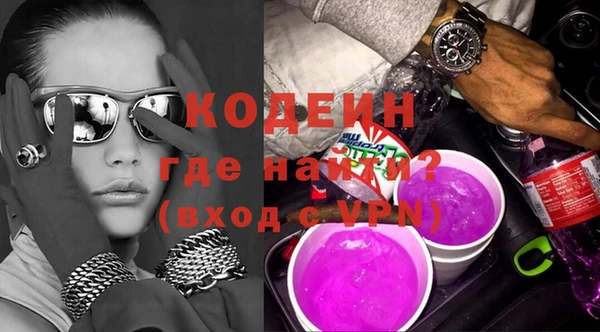 хмурый Алексин