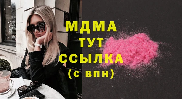 хмурый Алексин