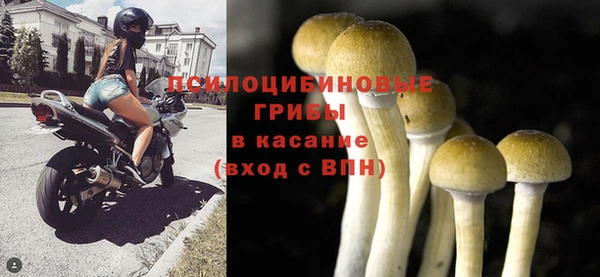 хмурый Алексин