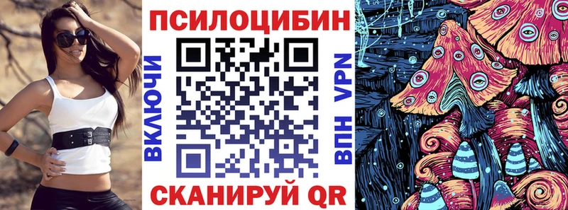 купить   Кыштым  Псилоцибиновые грибы Magic Shrooms 
